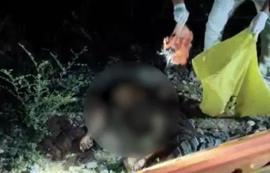 चित्तौड़गढ़ में दिल दहला देने वाली घटना: मां ने दो मासूम बच्चों को कुएं में फेंका, फिर ट्रेन के आगे कूदकर दी जान – तीनों की मौत