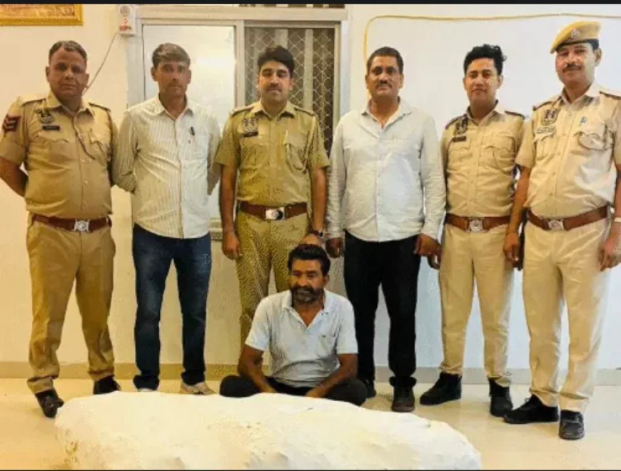 जयपुर में प्याज की फसल की आड़ में अवैध अफीम की खेती का बड़ा खुलासा: 363 पौधे जब्त, 65.5 किलो वजन; फलों पर चीरा लगाकर दूध निकाला जा रहा था, आरोपी रामलाल शर्मा गिरफ्तार