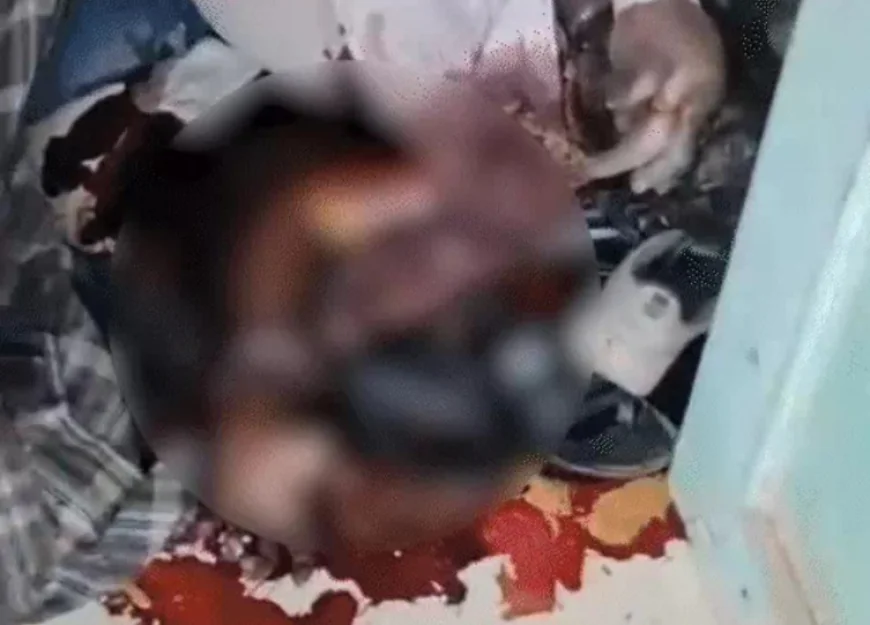 भीलवाड़ा में सनसनी: घर के एक कमरे में 4 दिन पुरानी सड़ी हुई लाश मिली, पत्नी को नहीं हुई खबर; पड़ोस की महिला की बदबू से खुलासा