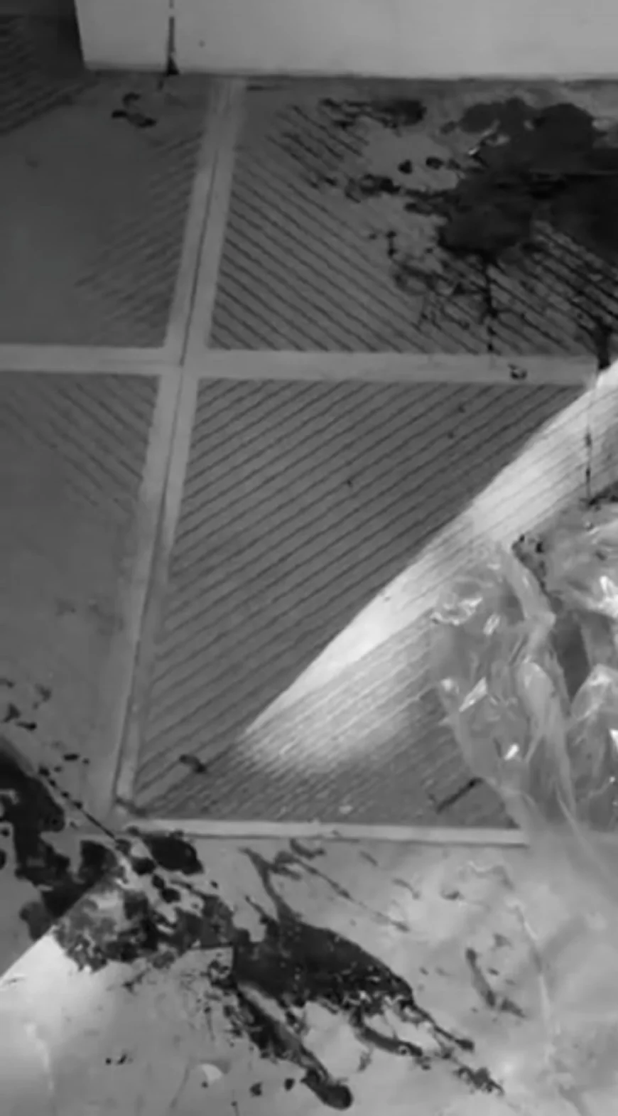 सीकर के पिपराली बालाजी मंदिर में फर्श पर मिला खून इंसान का: FSL जांच में पुष्टि, पुलिस ने 50 से ज्यादा सीसीटीवी खंगाले, अभी तक कोई सुराग नहीं