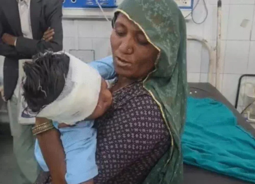 बाड़मेर के सरकारी स्कूल में पंखा गिरने से दो छोटे छात्र घायल, परिजनों ने टीचर्स की लापरवाही का लगाया आरोप