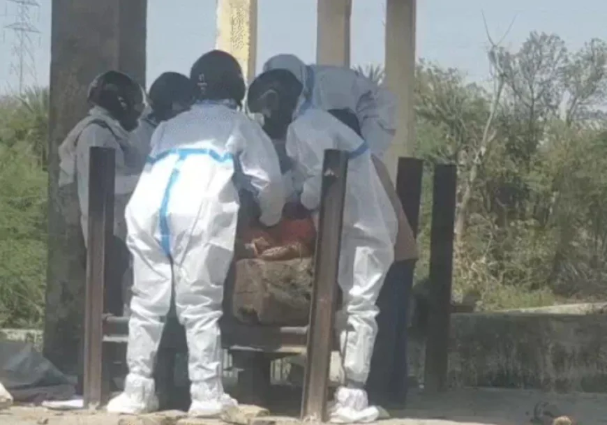 चित्तौड़गढ़ में मधुमक्खियों का कहर: अंतिम संस्कार के दौरान फिर हमला, 2 की मौत, 50 से ज्यादा घायल