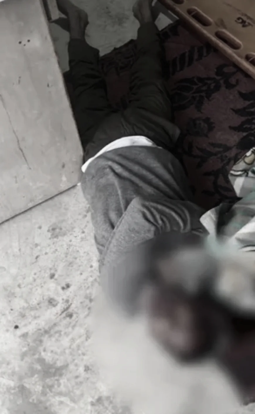 जयपुर में सिक्योरिटी गार्ड प्रमोद कुमार की क्रूर हत्या: पत्थर से सिर कुचलकर की गई वारदात, पुलिस सीसीटीवी फुटेज खंगाल रही