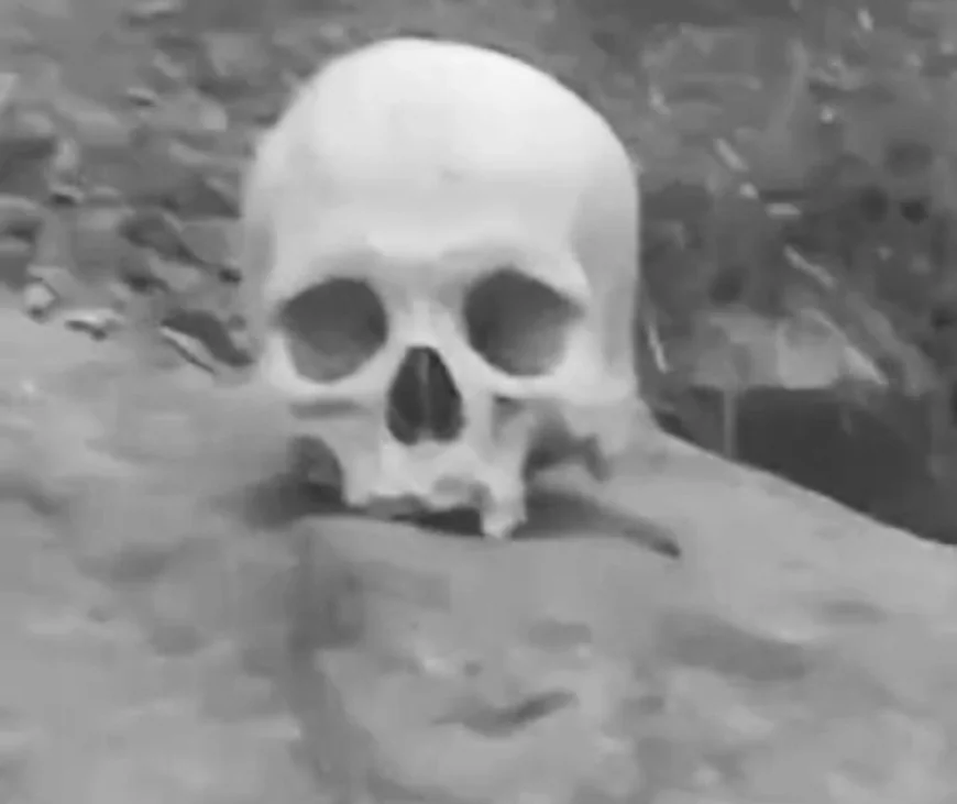 अजमेर के पहाड़गंज जंगल में मानव खोपड़ी मिलने से सनसनी: बच्चों ने बनाया वीडियो, सोशल मीडिया पर वायरल; 6 महीने से पड़ी होने की आशंका, तांत्रिक क्रियाओं की भी संभावना