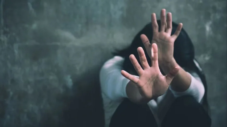 सीकर में युवती से दुष्कर्म: होटल में नशीला पदार्थ देकर बनाया शिकार, वीडियो बनाकर किया ब्लैकमेल