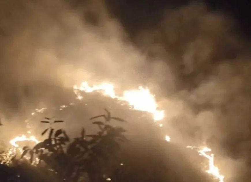 गोगुंदा में आबादी के पास पहाड़ी पर लगी भीषण जंगल की आग: 30 बीघा क्षेत्र जलकर राख, दमकल की गाड़ी ऊपर तक नहीं पहुंच सकी