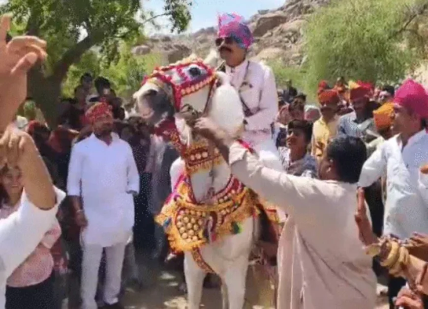 IPS दूल्हा बारात लेकर निकला, घोड़ी भी थिरकी: जोधपुर में आज होगी SP अंशिका वर्मा संग ‘कृष्णांशिका’ थीम वाली शाही शादी
