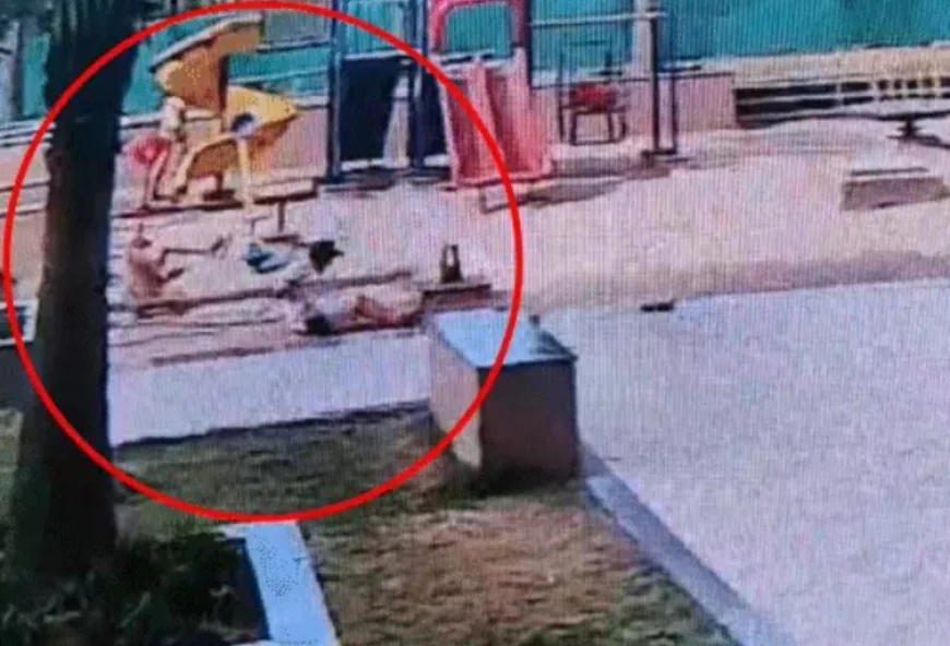 जयपुर में झूला टूटने से 12 साल की बच्ची गंभीर घायल, जबड़ा-नाक की हड्डी टूटी; सोसायटी मैनेजमेंट पर लापरवाही के आरोप