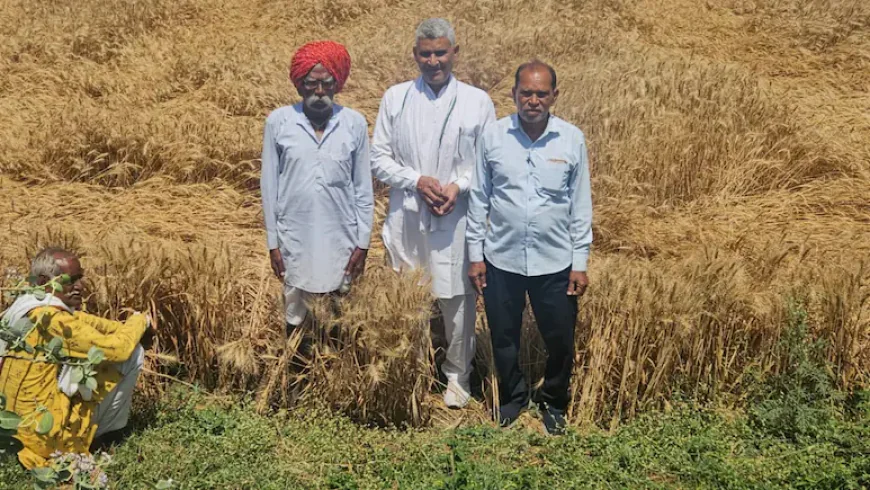 Kota News: बेमौसम बारिश और आग से फसलें बर्बाद, ऊर्जा मंत्री हीरालाल नागर ने किसानों के लिए दिए अहम निर्देश