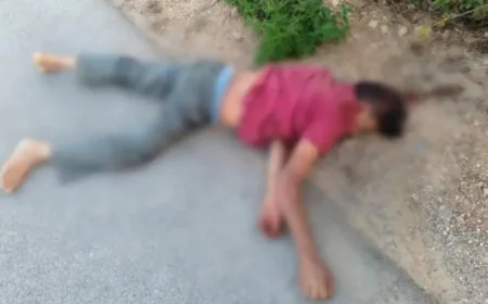 50 लाख रुपये की बीमा राशि हड़पने के लालच में सगे भाई ने रची खौफनाक साजिश, पत्थरों से सिर कुचलकर भाई की हत्या; चार गिरफ्तार