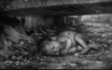 पुलिया के नीचे मिला नवजात कन्या का भ्रूण: जन्म के तुरंत बाद फेंकने का सनसनीखेज मामला