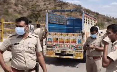 उदयपुर में 5 दिन पुराना सड़ा-गला शव मिलने से सनसनी: यूनिवर्सिटी के पीछे झाड़ियों में मिला अज्ञात व्यक्ति का शव