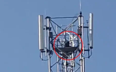 लव मैरिज की जिद में 150 फीट ऊंचे मोबाइल टावर पर चढ़ गई युवती, चार घंटे तक चला हाई वोल्टेज ड्रामा; पुलिस-प्रशासन ने लगाई समझाइश