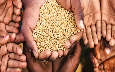 जयपुर राशन घोटाला: 34 ट्रकों से 'गायब' हुआ गरीबों का निवाला, 53 लाख के गेहूं का क्या हुआ? जानिए पूरा मामला!