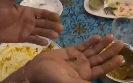 जन्मदिन की पार्टी बनी डरावना अनुभव! वेज बिरयानी में दिखा “कुछ ऐसा” कि उड़ गए होश… क्या है पूरा मामला? जानिए