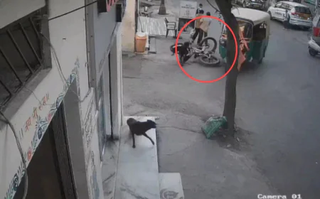 साइकिल चला रहे नाबालिग बच्चे को तेज रफ्तार ऑटो ने कुचला, CCTV में कैद हुई लापरवाही; ट्यूशन से घर लौटते समय गंभीर चोटें