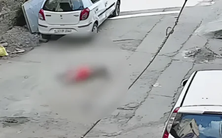 घर के बाहर बैठी महिला के साथ ऐसा क्या हुआ कि मच गया हड़कंप.....जानिए पूरा मामला .