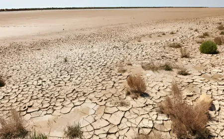 एक बंजर जमीन… और कमाई का ऐसा राज़, जिसे जानकर आप हैरान रह जाएंगे | मरु-हरित नीति 2026