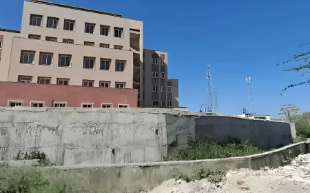 “नाले पर खड़ी इमारत या कागज़ों का खेल? जयपुर रोड का सच क्या छुपा रहा है…”