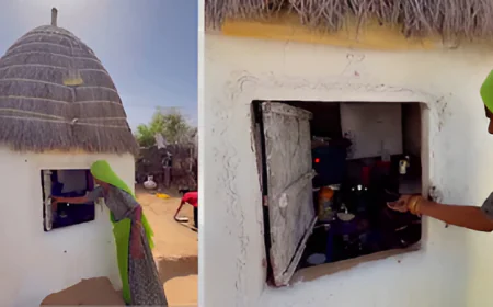 “एक तरफ पुरानी समझ… दूसरी तरफ Modern Technology…आज भी लोग पूरे तरीके पर निर्भर है क्या है पूरी खबर जानिए...