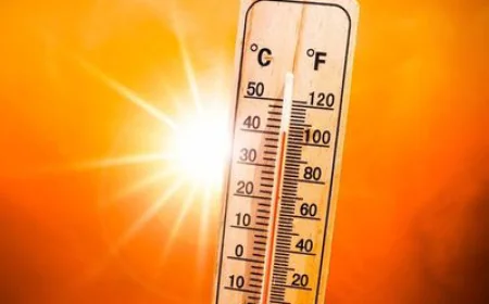 राजस्थान में आसमान से बरस रही आग! जोधपुर-बाड़मेर में तापमान ने तोड़े रिकॉर्ड, लोग गर्मी से बेहाल..