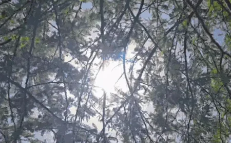 बाड़मेर में आग उगलती गर्मी: 12 साल का टूटा रिकॉर्ड, 46 डिग्री पार, लू से जनजीवन बेहाल