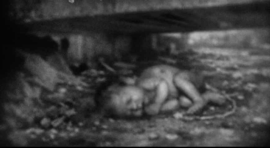 पुलिया के नीचे मिला नवजात कन्या का भ्रूण: जन्म के तुरंत बाद फेंकने का सनसनीखेज मामला