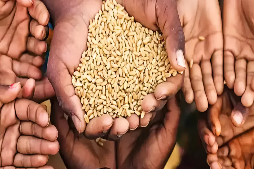 जयपुर राशन घोटाला: 34 ट्रकों से 'गायब' हुआ गरीबों का निवाला, 53 लाख के गेहूं का क्या हुआ? जानिए पूरा मामला!