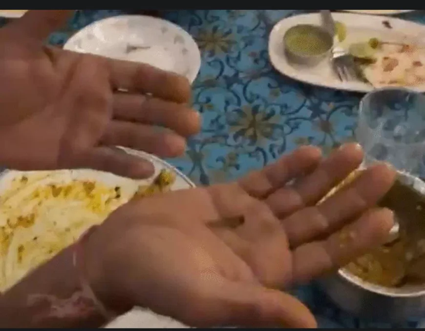 जन्मदिन की पार्टी बनी डरावना अनुभव! वेज बिरयानी में दिखा “कुछ ऐसा” कि उड़ गए होश… क्या है पूरा मामला? जानिए