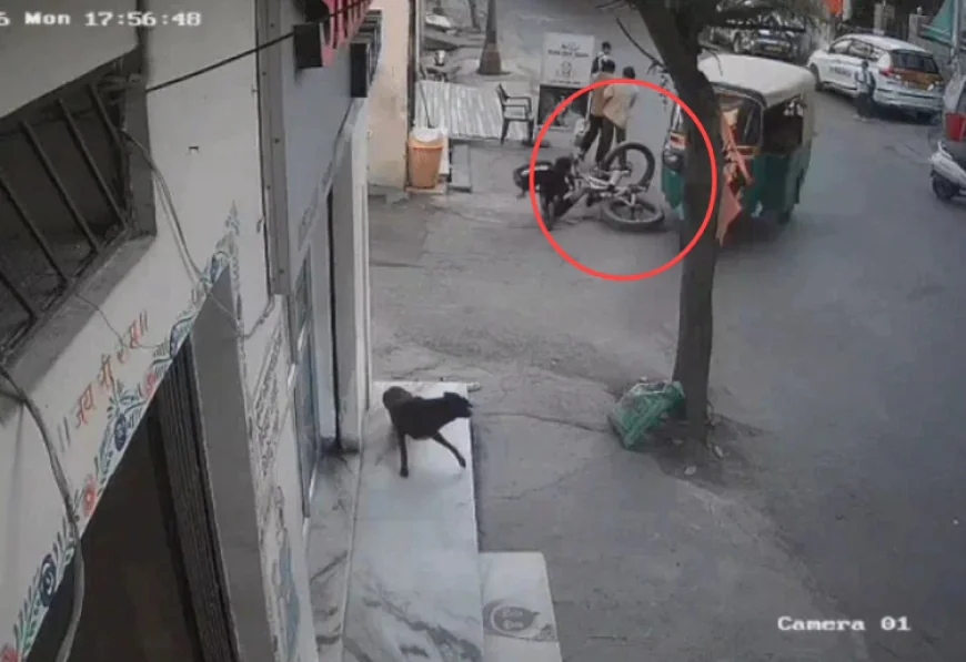साइकिल चला रहे नाबालिग बच्चे को तेज रफ्तार ऑटो ने कुचला, CCTV में कैद हुई लापरवाही; ट्यूशन से घर लौटते समय गंभीर चोटें