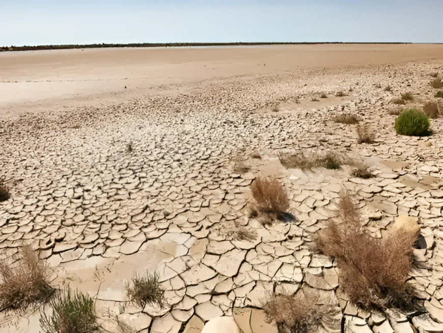 एक बंजर जमीन… और कमाई का ऐसा राज़, जिसे जानकर आप हैरान रह जाएंगे | मरु-हरित नीति 2026