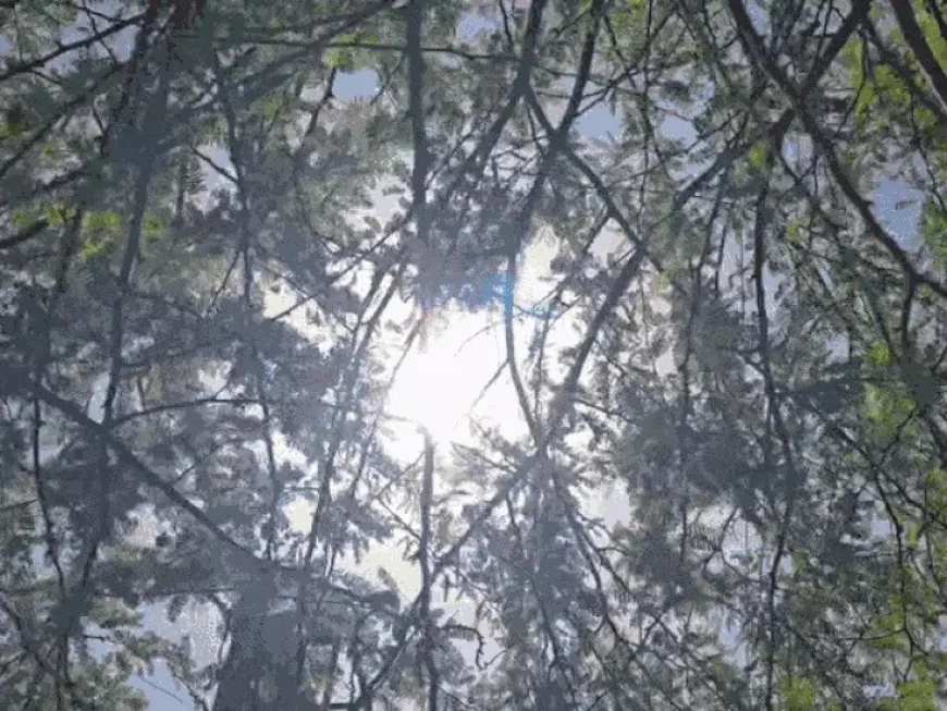 बाड़मेर में आग उगलती गर्मी: 12 साल का टूटा रिकॉर्ड, 46 डिग्री पार, लू से जनजीवन बेहाल