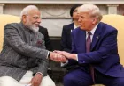 ‘PM मोदी महान हैं, मैं उनका बहुत बड़ा फैन हूं’; ट्रम्प के बयान से भारत-अमेरिका रिश्तों को मिले बड़े संकेत