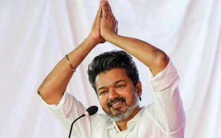 2 साल पहले बनाई TVK, ढहा दिया 77 साल पुरानी DMK का किला... कौन हैं तमिलनाडु की राजनीति के 'थलपति' विजय