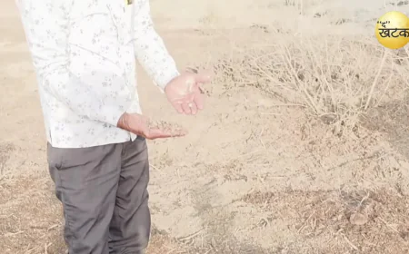 रहस्मयी ओलेः 45 डिग्री की तपती गर्मी में 3 दिन पहले गिरे थे ओले अभी तक नहीं पिघले लोगों में कौतूहल का विषय...