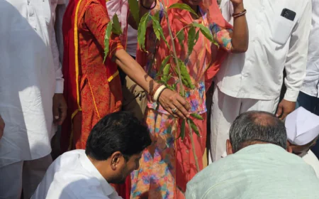 बायतू विधायक हरीश चौधरी के जन्मदिन पर कांग्रेस का ‘ग्रीन मिशन’, पौधारोपण कर दिया पर्यावरण संरक्षण का संदेश...