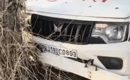 थार सवार बदमाशों का पीछा कर रही पुलिस जीप पेड़ से टकराई, कॉन्स्टेबल ने तोड़ा दम
