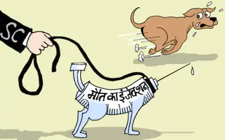 सुप्रीम कोर्ट का बड़ा आदेश: खतरनाक कुत्तों को मौत का इंजेक्शन दें, जन सुरक्षा सर्वोपरि... जो अफसर निर्देश न माने, उस पर अवमानना केस का निर्देश