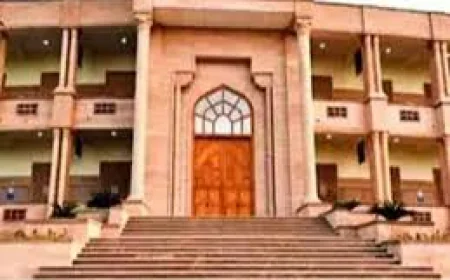 उदयपुर रेप प्रयास केस में भाजपा नेता को झटका: हाईकोर्ट ने गिरफ्तारी पर लगी रोक हटाई, पुलिस जांच फिर तेज
