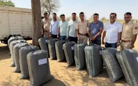 जेल से छूटते ही फिर शुरू किया नशे का कारोबार: बाड़मेर में 324 किलो डोडा-चूरा जब्त, तस्कर फरार