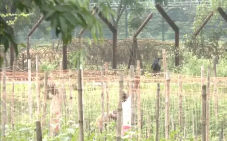 सीएम शुभेन्दु अधिकारी के फैसले के बाद बॉर्डर पर बढ़ी सुरक्षा: BSF ने शुरू की फेंसिंग, सीमा इलाकों में राहत