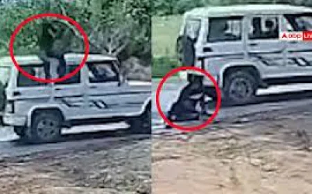रॉन्ग साइड आई तेज रफ्तार बोलेरो ने बाइक को मारी टक्कर, एक युवक की मौत; दूसरा गंभीर घायल