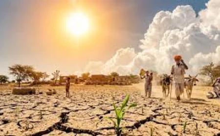 राजस्थान में नौतपा का आगाज: पारा 47°C पार जाने का अलर्ट, अगले 4 दिन झुलसाएगी भीषण गर्मी