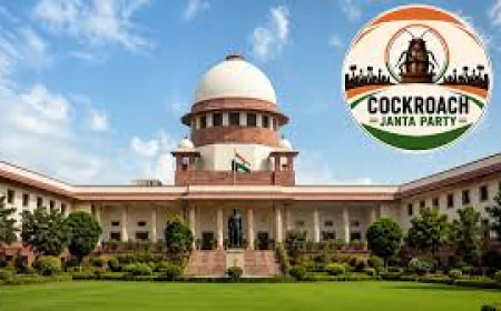 ‘कॉकरोच जनता पार्टी’ पर सुप्रीम कोर्ट सख्त नहीं: CBI जांच की मांग पर तत्काल सुनवाई से इनकार, बोले- इतनी भावुकता से मत लें