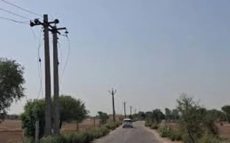 सोलर प्लांट की हाइटेंशन लाइन काटकर चोरी: रात में पोल पर चढ़कर कॉपर तार ले जाते थे आरोपी, 2 गिरफ्तार