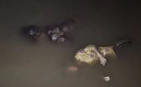 बांसवाड़ा में दर्दनाक हादसा: गड्ढे में भरे पानी में डूबने से दो मासूम बच्चियों की मौत, 4 घंटे चला रेस्क्यू ऑपरेशन