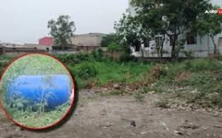 Patiala Blue Drum Case: कूड़े के ढेर में मिले नीले ड्रम से निकली किशोरी की लाश, पटियाला में सनसनी