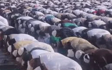बाड़मेर में ईद-उल-अजहा का जश्न: ईदगाह में अदा हुई विशेष नमाज, हजारों मोमीनों ने मांगी अमन-चैन की दुआ