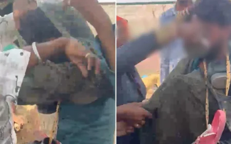 अजमेर में युवक को पेड़ से बांधकर बेरहमी से पीटा: लाठी, बेल्ट और रबर ट्यूब से हमला, वीडियो वायरल