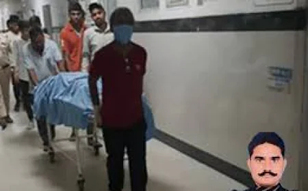 पाली में दर्दनाक हादसा: ट्रेलर ने RTO गार्ड को कुचला, मौके पर मौत; शव देख इंस्पेक्टर की बिगड़ी तबीयत